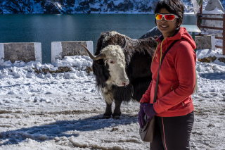 Yak Rides at Changu Lake