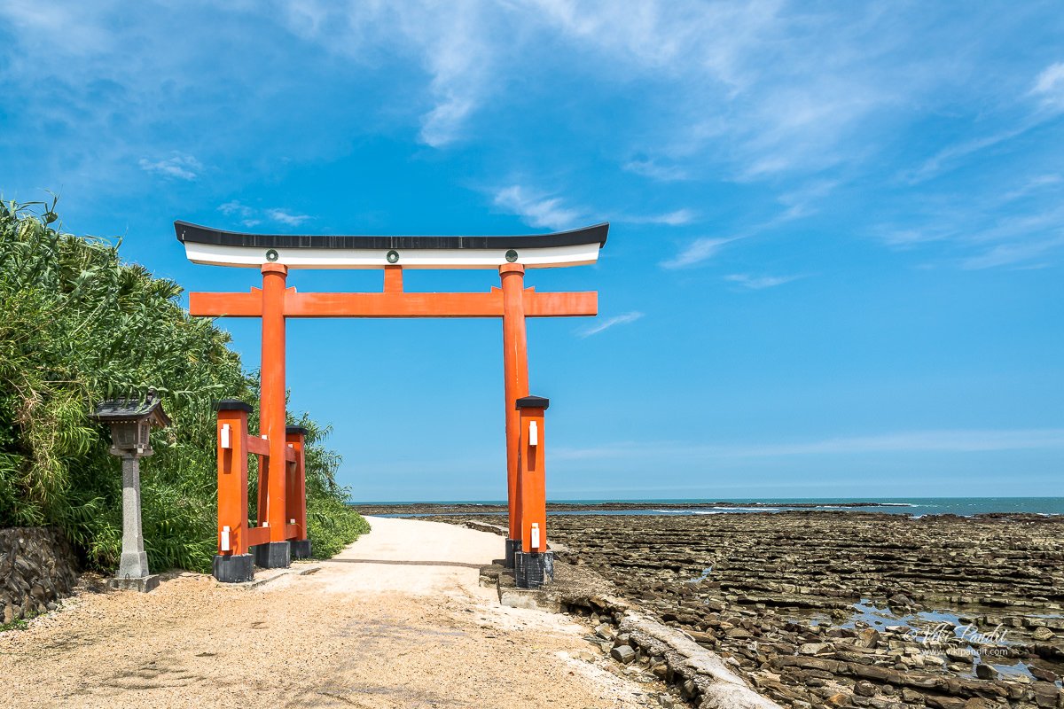 Aoshima Shrine