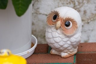 Owl-figurines-5