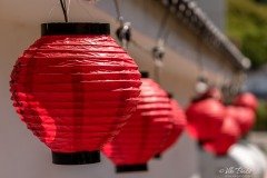 Paper lanterns near Gifu Park