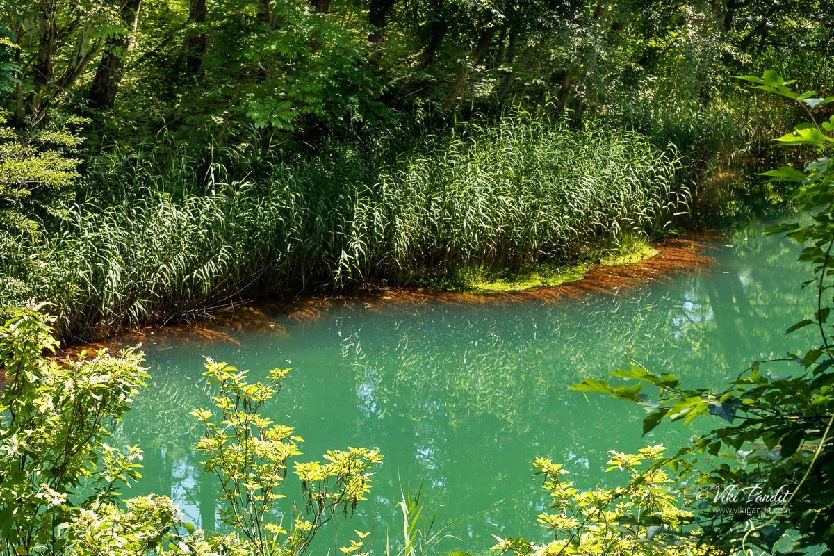 Aka-numa Pond on the Goshiki-numa Trail