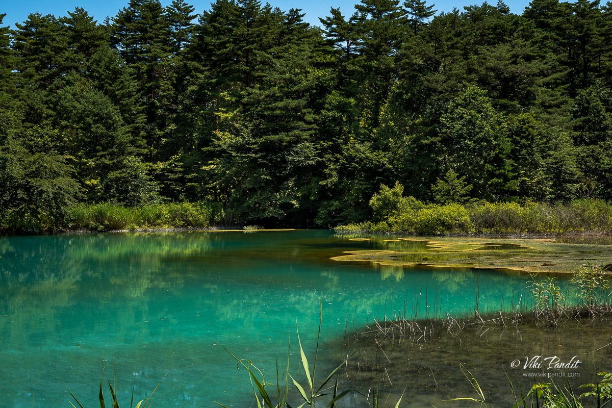 Ruri-numa Pond along the Goshiki-numa Nature Trail