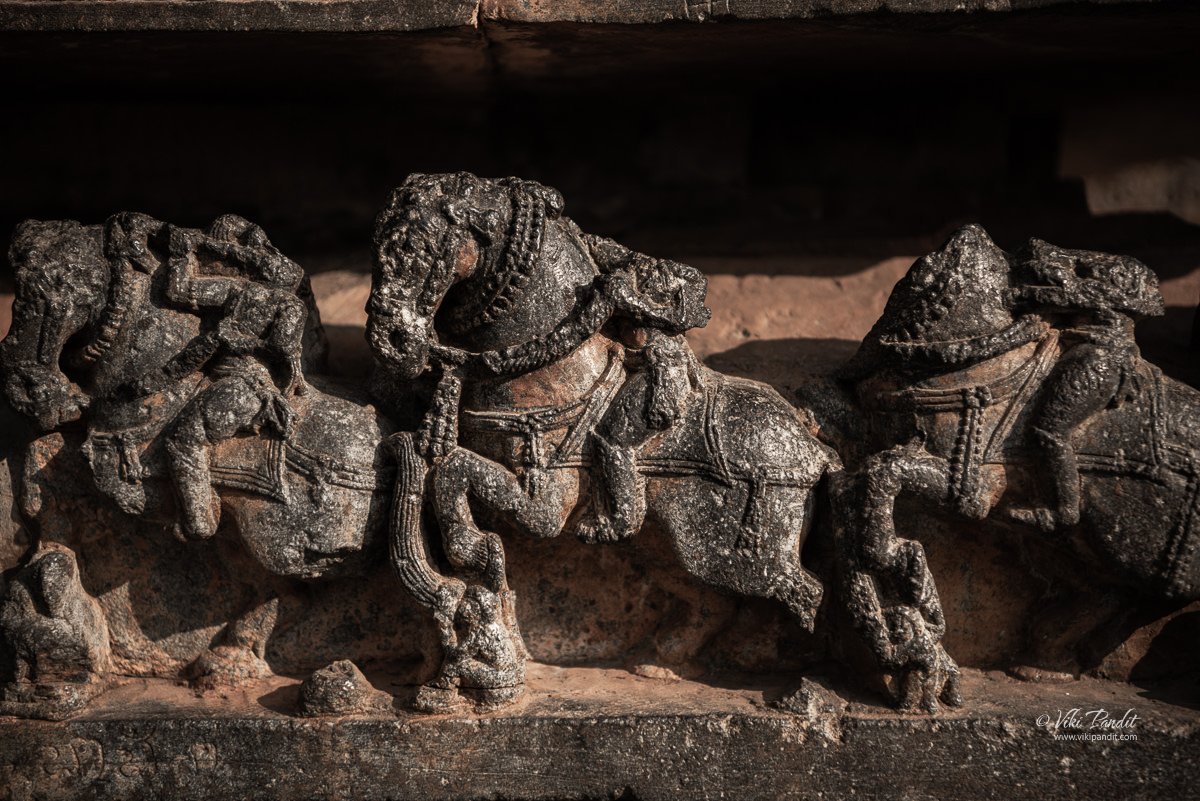Relief depicting royal horses at the Hoysaleshwara Temple