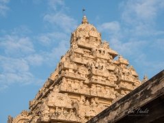 Sikhar-Kanchi-Kailasanathar-Temple