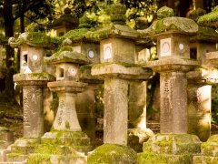 Stone lanterns in Nara Park