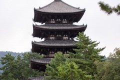 Kofuku-ji Five Story Pagoda