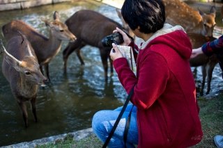 Mani clicking the Deers