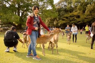 Mani playing around with Deers