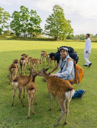 Viki playing with Deers