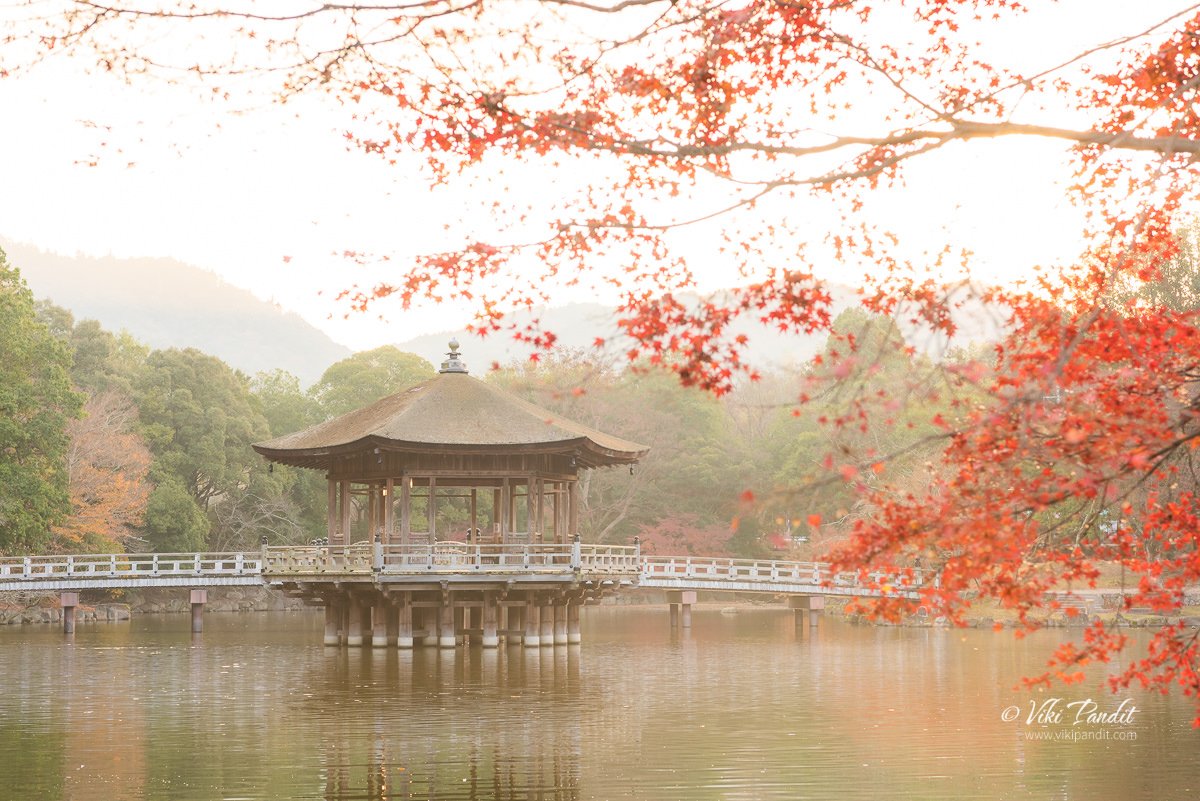 Ukimido Pavilion in Nara Park