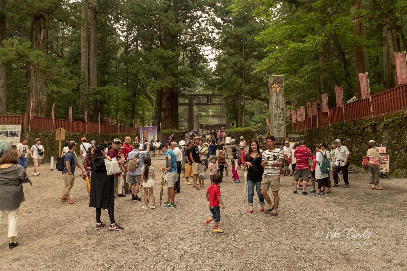The sacred forest of nikko