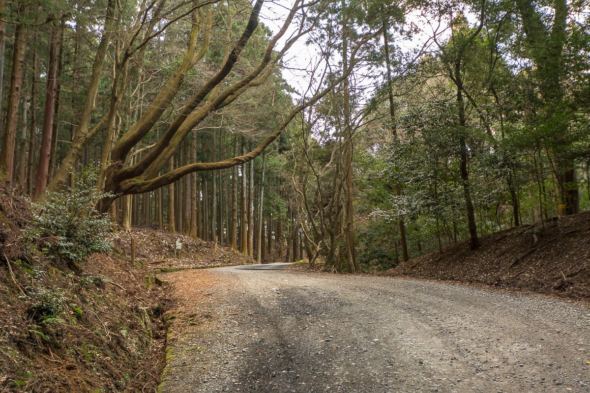 Kasugayama Primeval Forest