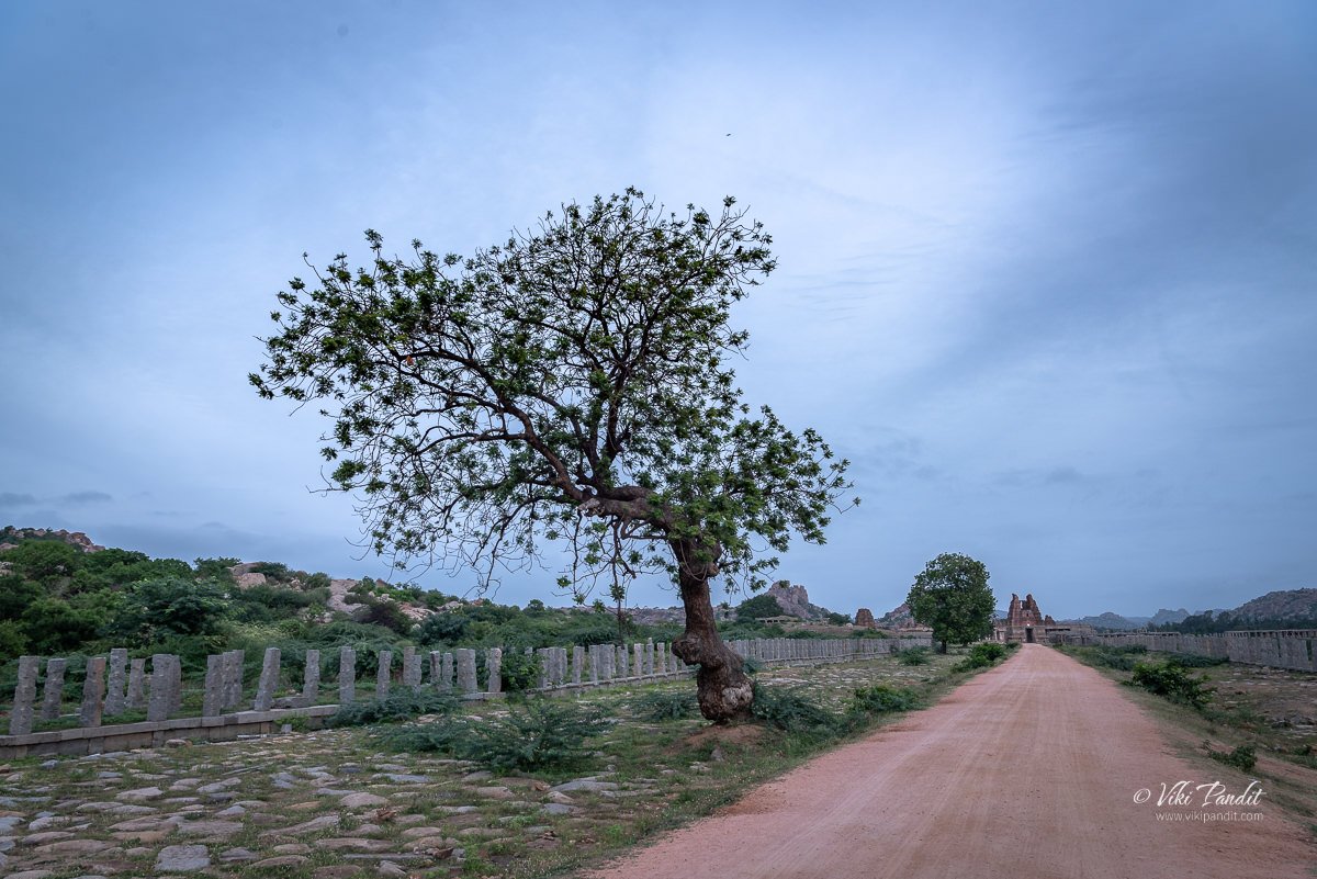 The mud road to Vittala Temple in Hampi