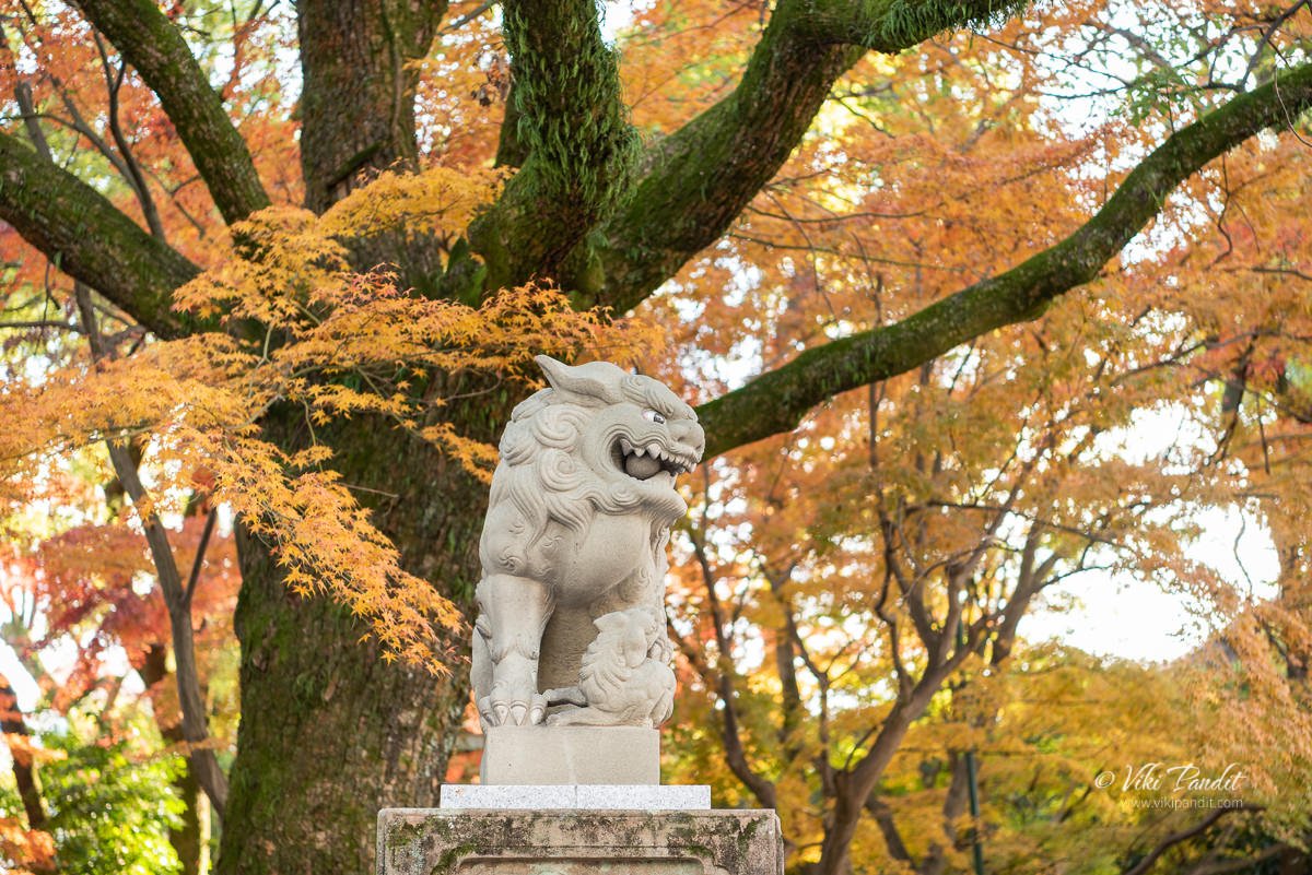 Shishi Lion at Yasaka Shrine