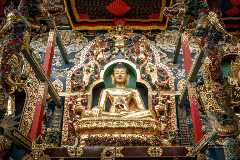 Golden Buddha of Namdroling Monastery