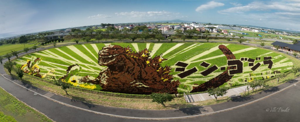 Godzilla Tambo Art