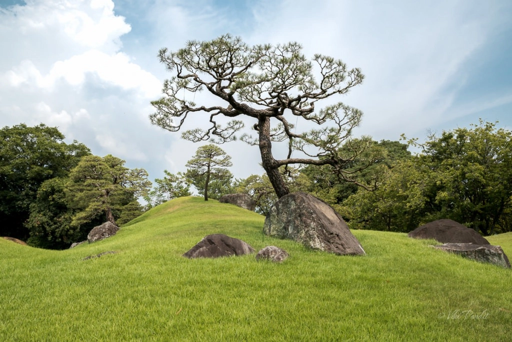 Photowalk to Suizen-ji Park