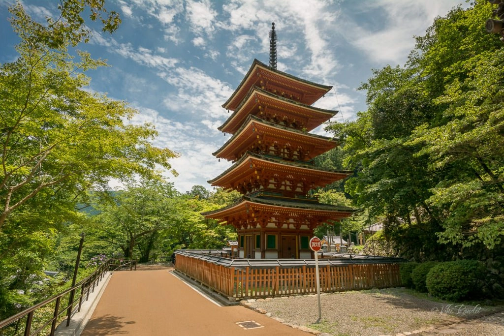 The Ajisai Garden of Hasedera Temple
