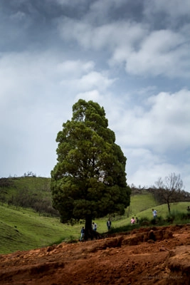 lakkidi-upper-bhawani-lake-ooty