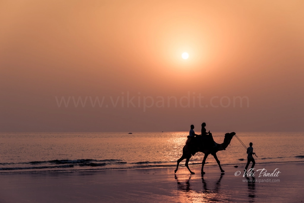 A stroll on Mandvi Beach